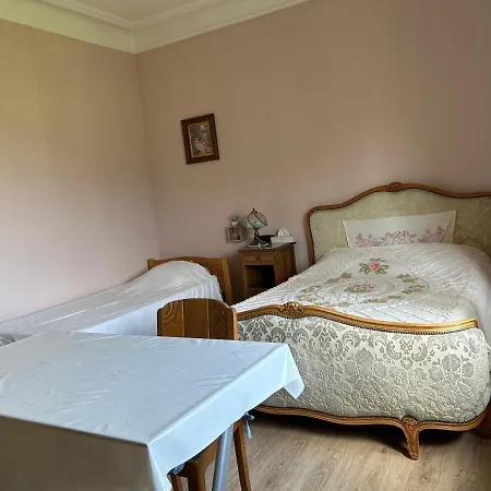 Privat bolig Gentiane 2 A 3 Personnes Wifi Sdb Partagee *