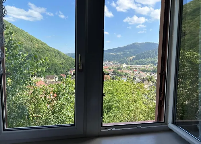 Gentiane 2 A 3 Personnes Wifi Sdb Partagee * Saint-Amarin